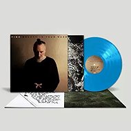 Fink: Beauty in your wake - LP Record