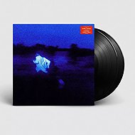 Daniel Caesar: Never Enough - LP Record