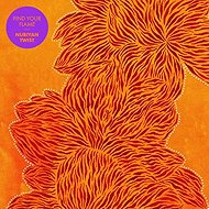 Nubiyan Twist: Find Your Flame CLR - LP Record