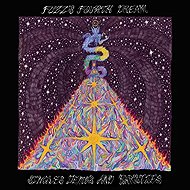 Fuzz: Fuzz's Fourth Dream - LP Record