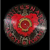 Whitesnake: Always & Forever Ltd Pic - LP Record