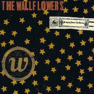 The Wallflowers: Bringing Down the Horse - LP Record
