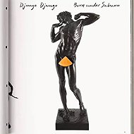 Django Django: Born Under Saturn CLR - LP Record