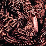 Crimson Thorn: Dissection LTD - LP Record