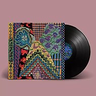 Animal Collective: Defeat LTD - LP Record