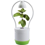 MiG ONE green - Flower Pot