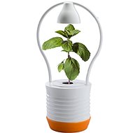 MiG ONE orange - Flower Pot