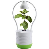 MiG ONE - Flower Pot