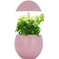MiG 3 Pink - Smart Flower Pot