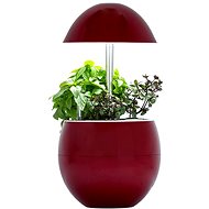 MiG 3 red - Flower Pot