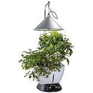 MiG 6 - Flower Pot