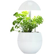 MiG 3 White - Flower Pot