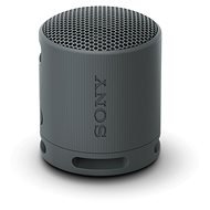 Sony SRS-XB100 schwarz - Bluetooth-Lautsprecher