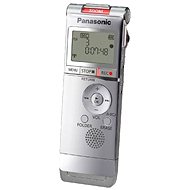 Panasonic RR-XS350E-S silver - Digital Notebook