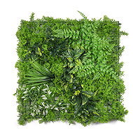 G21 Listo River Artificial green wall, 50 × 50 cm - Decorative Wire Mesh