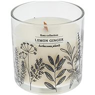 H&L Scented candle in glass Lemong Ginger, diameter 10 cm, white - Candle
