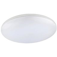 Globo - LED Outdoor Ceiling Light 1xLED/24W/230V IP54 - Ceiling Light