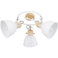 Globo - Spotlight, 3xE27/40W/230V - Ceiling Light