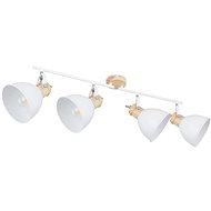 Globo - Spotlight 4xE27/40W/230V - Ceiling Light