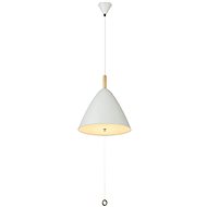 Globo - Chandelier on Cable 1xE27/60W/230V - Chandelier