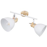 Globo - Spotlight 2xE27/40W/230V - Spot Lighting