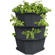 Gusta Garden PAUL POTATO self-watering 3-layer planter, anthracite - Flower Pot