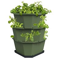 Gusta Garden PAUL POTATO 3-layer self-watering planter, dark green - Flower Pot