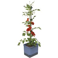 Gusta Garden TOM TOMATO Standard self-watering planter, blue - Flower Pot