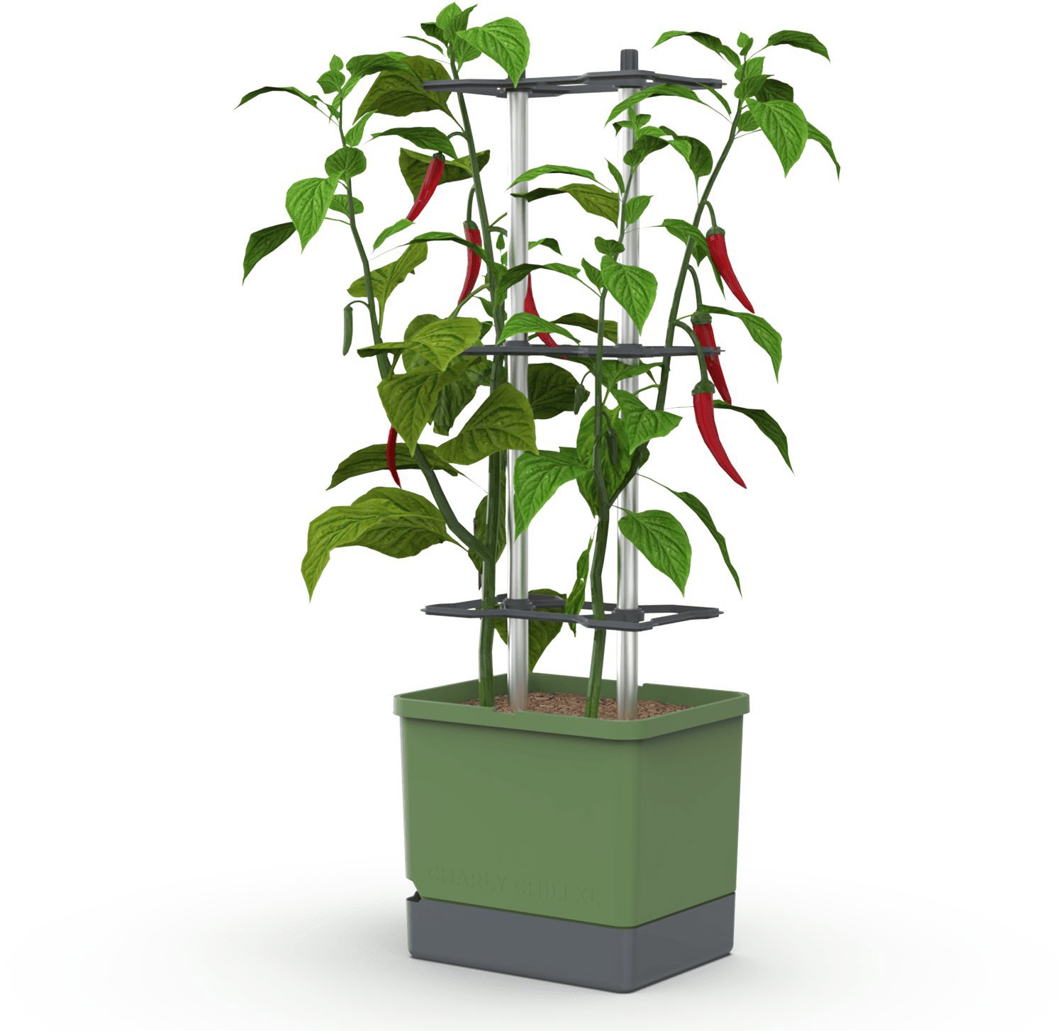 Gusta Garden CHARLY CHILI XL self-watering, dark green - Flower Box