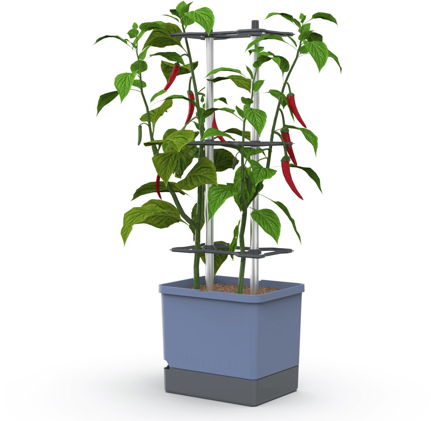 Gusta Garden CHARLY CHILI XL self-watering, blue - Flower Box