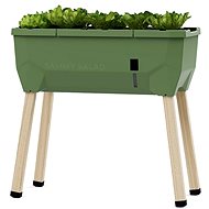 Gusta Garden SAMMY SALAD self-watering planter without lid, dark green - Flower Box