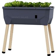 Gusta Garden SAMMY SALAD self-watering planter without lid, anthracite - Flower Box