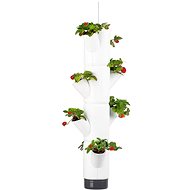 Gusta Garden SISSI STRAWBERRY függő önöntöző virágcserép, 4 szintes, fehér - Virágláda