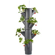 Gusta Garden SISSI STRAWBERRY függő önöntöző virágcserép, 4 szintes, antracit - Virágláda