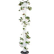 Gusta Garden SISSI STRAWBERRY Infinity self-watering planter 10 tiers, white - Flower Box