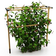 Gusta Garden BERRY BUDDY support grid 120 cm - Plant Support