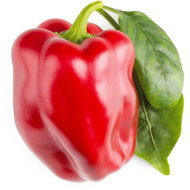 Click and Grow Red pepper, sweet - Seedling Planter