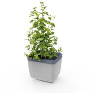 Gusta Garden HERBS BUDDY self-watering, light grey - Flower Box