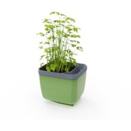 Gusta Garden HERBS BUDDY self-watering, green - Flower Box