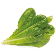 Click and Grow Romaine lettuce, 3pcs - Seedling Planter