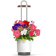 Click and Grow Smart Garden 1 HydroVase, fehér - Okos virágcserép