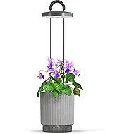 Click and Grow Smart Garden 1 HydroVase, szürke - Okos virágcserép