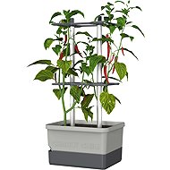 Gusta Garden CHARLY CHILI Standard, light grey - Flower Box