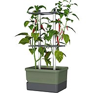 Gusta Garden CHARLY CHILI Standard, dark green - Flower Box
