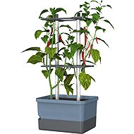 Gusta Garden CHARLY CHILI Standard, blue - Flower Box