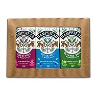 Hampstead Tea BIO Wellness Tea Selection Gift Pack 3 × 20 pcs - Tea