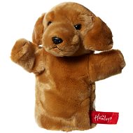 Hamleys Golden labrador - Hand Puppet