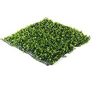 Hawaj Artificial Buxus Hedge Wall High 100 × 100cm - Screen
