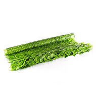 Hawaj Artificial Hedge Light Laurel Roll 1.5 × 3m - Screen