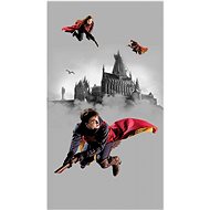 Fototapeta 2dílná,  Harry Potter FTD2P5613, 150 x 270 cm - Fototapeta